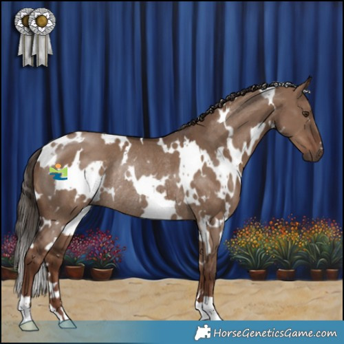 Horse Color:White Spotted Liver Red Dun Rabicano 