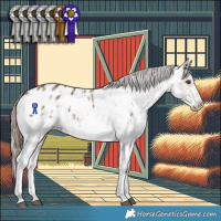 Horse Color:White Spotted Liver Red Dun Blanket Rabicano