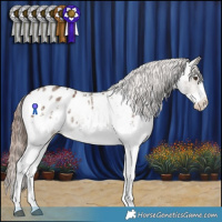 Horse Color:White Spotted Liver Red Dun Appaloosa Rabicano 