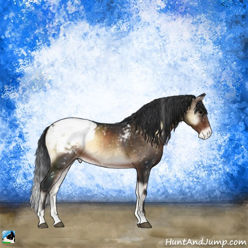 Horse Color:Brown Onyx Appaloosa Rabicano 