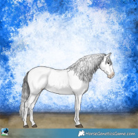 Horse Color:Brown Ice Onyx Sabino Snowcap Rabicano 