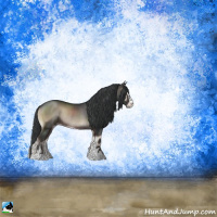 Horse Color:Blue Onyx Sabino Rabicano 