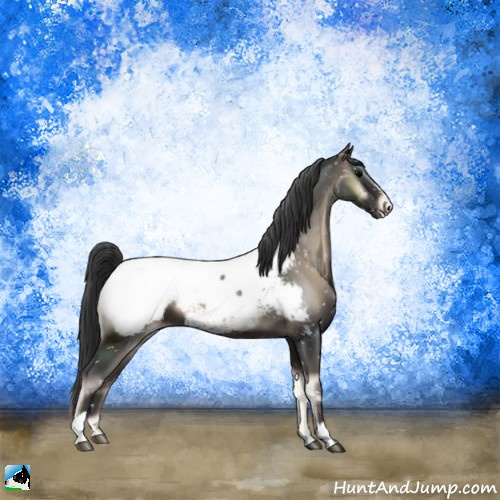 Horse Color:Blue Onyx Sabino Appaloosa 