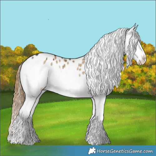 Horse Color:Buckskin Dun Splash Appaloosa Rabicano Brindle 