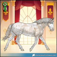 Horse Color:White Spotted Cremello Splash  and White Spotted Chocolate Palomino Dun Splash Blanket Rabicano 