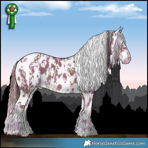 Horse Color:White Spotted Liver Red Dun Appaloosa  and Watercolor White Spotted Liver Red Dun Appaloosa 