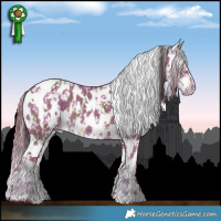 Horse Color:White Spotted Liver Red Dun Near Leopard  and Watercolor White Spotted Liver Red Dun Near Leopard 