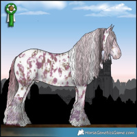 Horse Color:White Spotted Liver Red Dun Appaloosa  and Watercolor White Spotted Liver Red Dun Appaloosa 