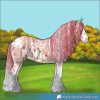 Horse Color:White Spotted Buckskin Splash Tobiano Near Leopard  and Watercolor White Spotted Liver Red Dun Splash Rabicano 