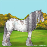Horse Color:Watercolor White Spotted Liver Red Onyx Appaloosa 