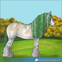 Horse Color:White Spotted Liver Red Dun Brindle and Watercolor White Spotted Buckskin Onyx