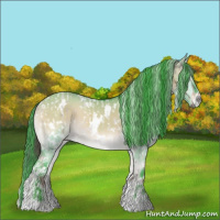 Horse Color:White Spotted Liver Red Dun Brindle and Watercolor White Spotted Buckskin Onyx