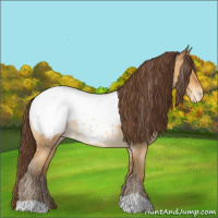 Horse Color:Sable Cream Champagne Roan Appaloosa 
