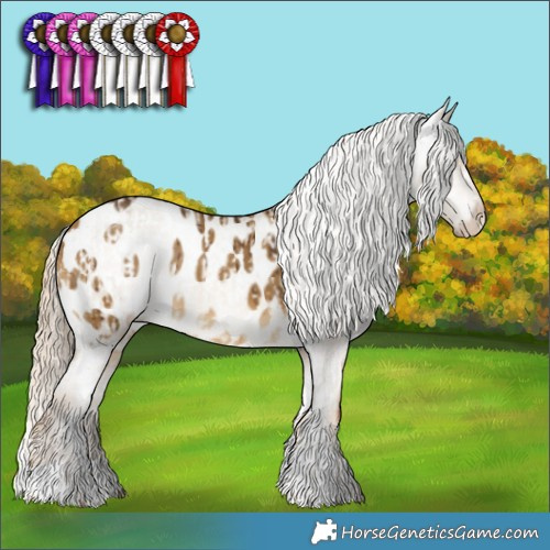 Horse Color:Chocolate Palomino Dun Appaloosa Brindle  and Chocolate Palomino Dun Appaloosa Brindle 