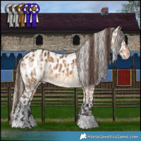 Horse Color:White Spotted Chocolate Palomino Dun Appaloosa and Bay Dun Appaloosa Brindle