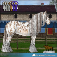 Horse Color:White Spotted Chocolate Palomino Dun Blanket  and Bay Dun Near Leopard Brindle 