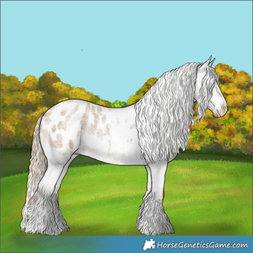 Horse Color:Chocolate Palomino Roan Dun Sabino Appaloosa Rabicano 