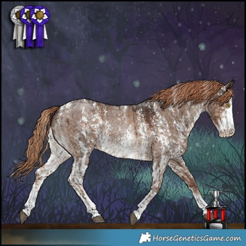 Horse Color:Liver Red Roan Sabino Rabicano  and Liver Red Dun Sabino Brindle 