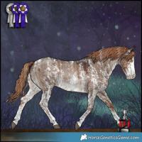 Horse Color:Liver Red Roan Sabino Rabicano  and Liver Red Dun Sabino Brindle 