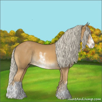 Horse Color:Palomino Sabino Rabicano 