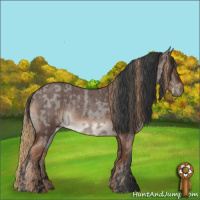 Horse Color:Grullo Roan Rabicano  and Liver Red Roan Rabicano 