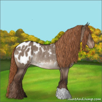 Horse Color:Liver Red Dun Roan Blanket Rabicano 