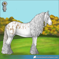 Horse Color:Chocolate Palomino Dun Appaloosa and Chocolate Palomino Dun Appaloosa