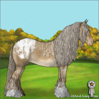 Horse Color:Chocolate Palomino Dun Appaloosa  and Chocolate Palomino Dun Appaloosa 