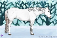Horse Color:Grullo Splash Tobiano Appaloosa Rabicano