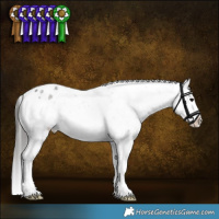 Horse Color:Grullo Roan Sabino Snowflake Varnish Brindle 