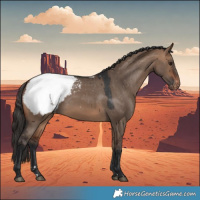 Horse Color:Bay Dun Snowcap 