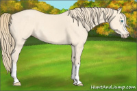 Horse Color:Perlino Splash  and Perlino Splash Rabicano 