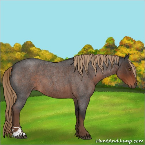 Horse Color:Liver Red Roan Sabino 