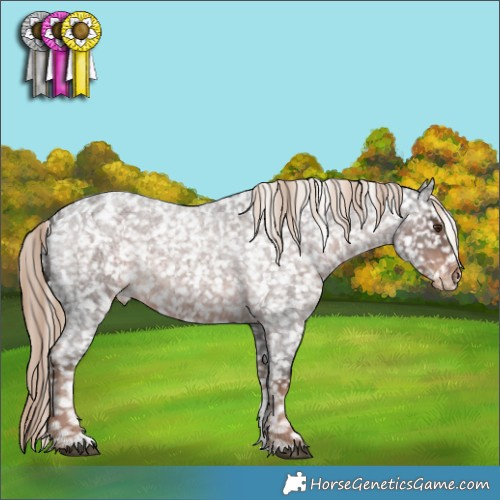 Horse Color:Liver Red Roan Sabino Appaloosa 