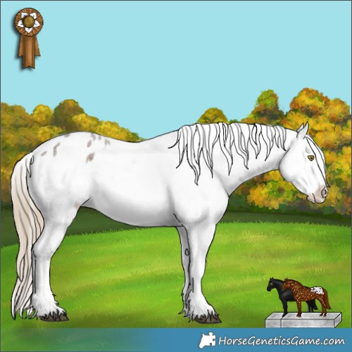 Horse Color:Liver Red Roan Sabino Appaloosa 