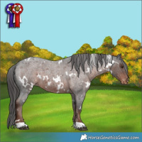 Horse Color:White Spotted Liver Red Roan Appaloosa 