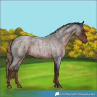 Horse Color:Liver Red Roan 