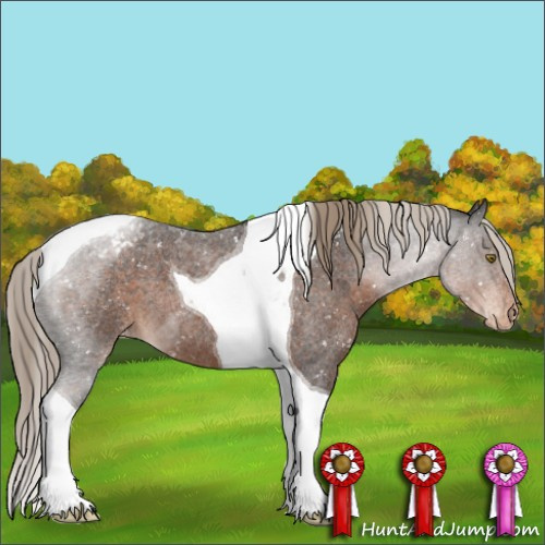 Horse Color:Liver Red Roan Tobiano Appaloosa 