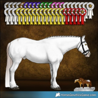 Horse Color:Liver Red Dun Roan Sabino Appaloosa Rabicano 