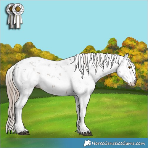 Horse Color:Liver Chestnut Sabino 