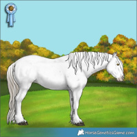Horse Color:Liver Chestnut Sabino Varnish 