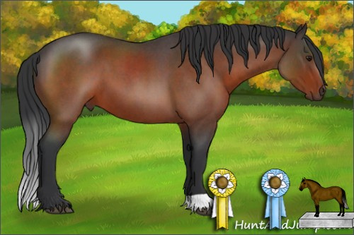 Horse Color:Brown Roan 