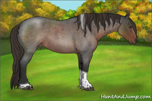 Horse Color:Liver Red Roan Tobiano 
