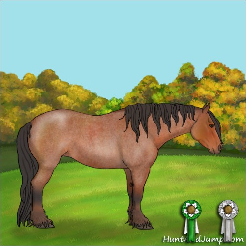 Horse Color:Brown Roan 