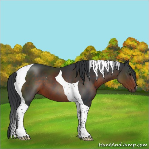 Horse Color:Brown Tobiano 