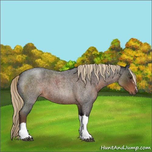 Horse Color:Liver Red Roan 