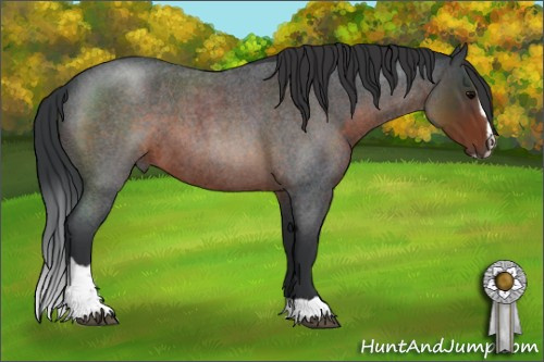 Horse Color:Brown Roan Sabino 