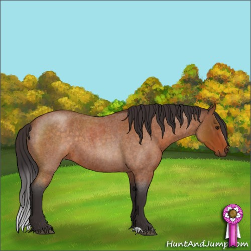 Horse Color:Buckskin Roan 