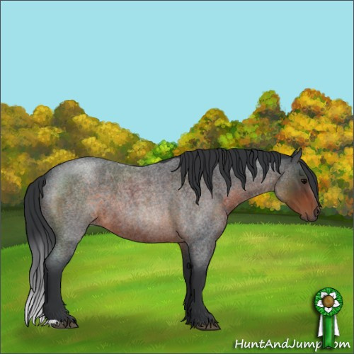 Horse Color:Brown Roan 