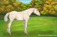Horse Color:Silver Amber Cream Champagne Pearl